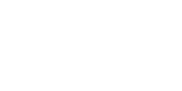 The Defiant Spirit