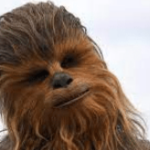 Chewbacca from Star Wars (counter-phobic)