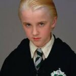 Draco - Harry Potter