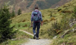 Find Your Way Forward Using The Enneagram